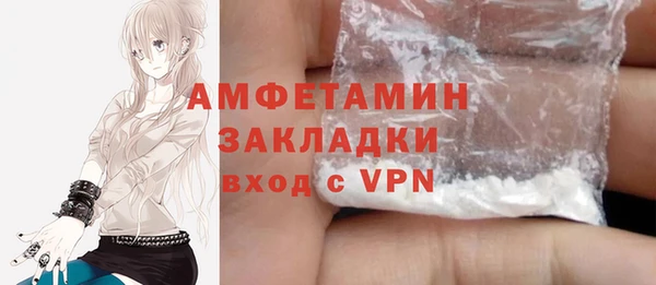 индика Алексин