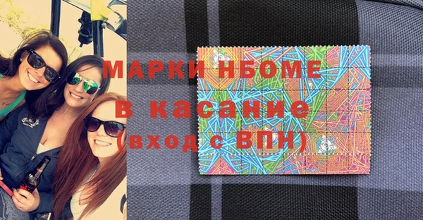 индика Алексин